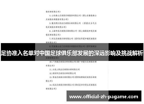 足协准入名单对中国足球俱乐部发展的深远影响及挑战解析