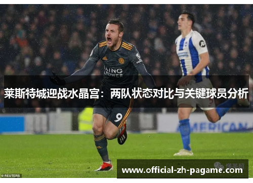 莱斯特城迎战水晶宫：两队状态对比与关键球员分析