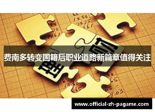 费南多转变国籍后职业道路新篇章值得关注 费南多转变国籍后职业道路新篇章值得关注