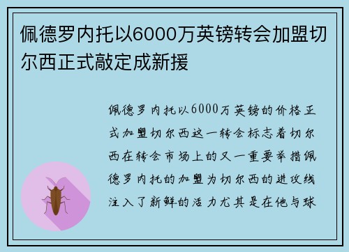 佩德罗内托以6000万英镑转会加盟切尔西正式敲定成新援 佩德罗内托以6000万英镑转会加盟切尔西正式敲定成新援